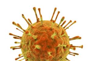 Норовирус: особенности, пути передачи и помощь при заражении
