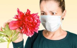 Календарь цветения для аллергиков: меры безопасности в сезон поллиноза